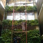 Pembuatan Vertical Garden melibatkan pemilihan tanaman, irigasi otomatis. tukang yang terampil, bantuan peralatan ketinggian yang safety. Proyek kantor D`Associates menjadi proyek Lanskaptika dalam menggarap taman kantor